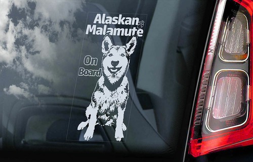 Adesivo auto alaskan malamute - adesivo,