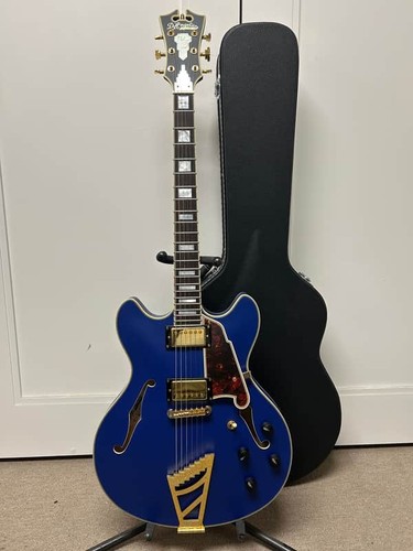 Angelico dlx dctp deluxe dc - d'angelico,