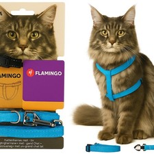 pettorina gatto gatto grande