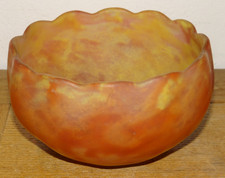 Rare Tulipe Style Fleur de