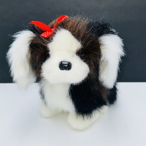 Shalom toy shih tzu - shalom,