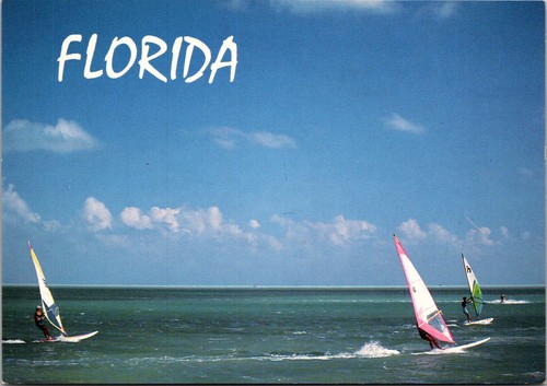Cartolina florida coastline - cartolina,