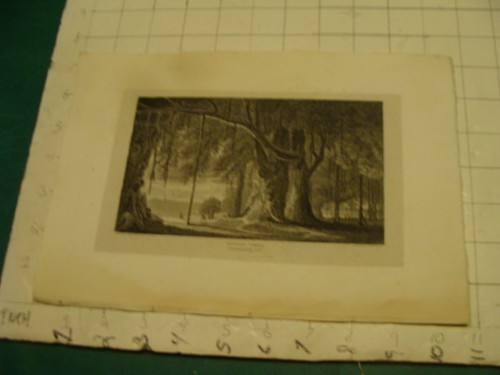 Incisione epoca 1800 - incisione, d'epoca,
