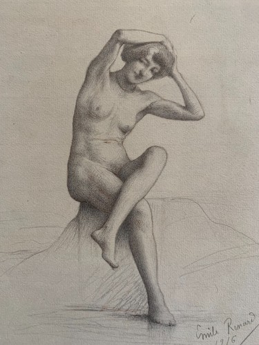 Emile volpe matita - volpe,