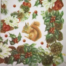 Carta di Riso Tovagliolo