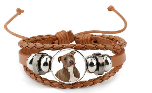 Pit bull dog brown leather - pit,