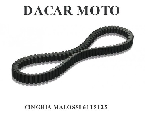 Cinghia malossi gilera fuoco - cinghia,