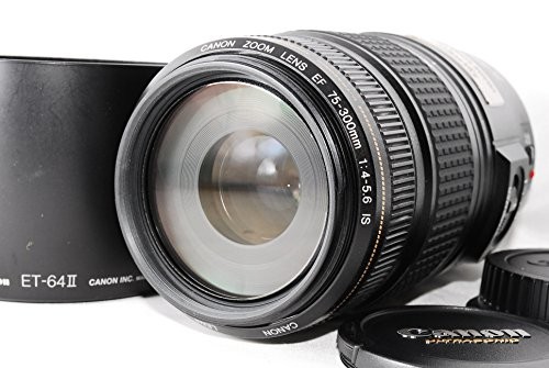 Canon 300mm 5 6 is - f4-5.6,