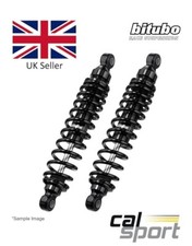 Ammortizzatori posteriori