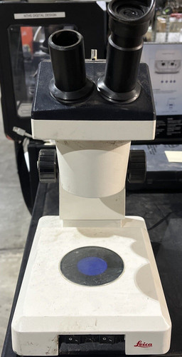 Microscopio zoom leica - zoom,