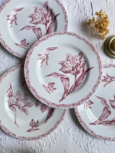 Assiettes plates terre de - assiettes,