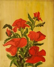 Natura morta fiori - natura,