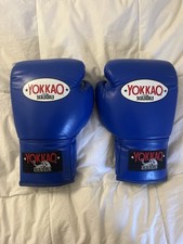 Nuovissimi guanti da boxe