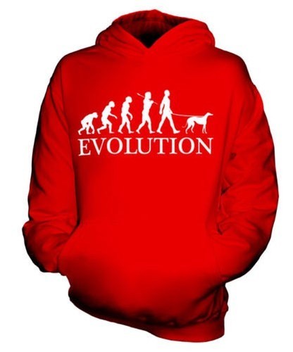 Levriero evolution uomo - levriero,