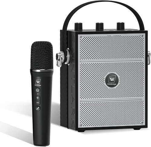 Amplificatore vocale wireless - vocale,