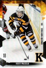 Robert Polesello 2014-15