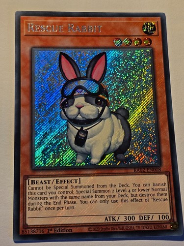 Rescue rabbit secret - rescue,