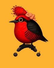 Sir Mike Mitchell - Picchio