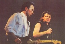 CARTOLINA DA COLLEZIONE - U2