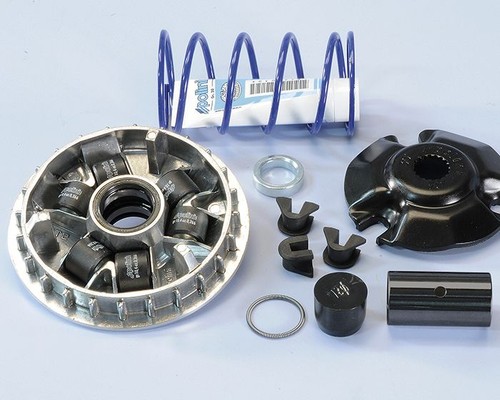 241 686 variatore polini - variatore,