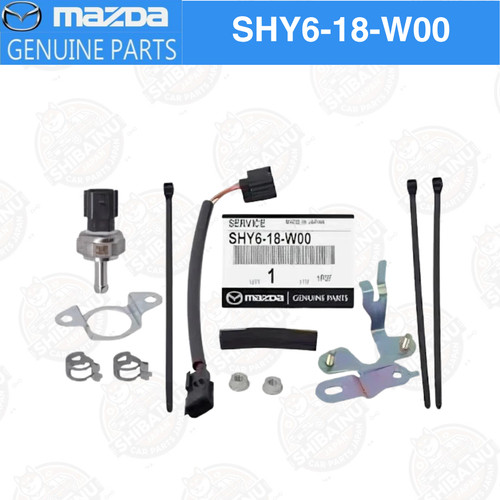 Kit manutenzione sensore