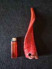 Corno vero di Capra vintage tassidermia da appendere Antico Porta Fortuna Casa