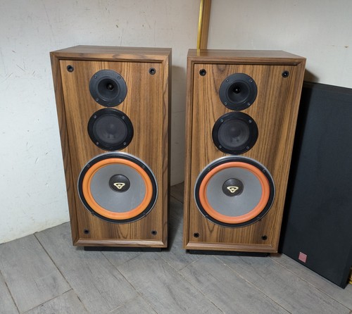 Cerwin vega coppia - dx-3,