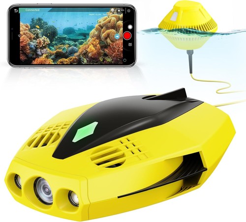 Drone subacqueo chasing dory - chasing,