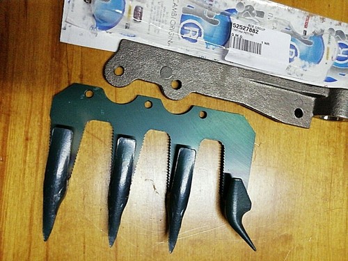 Bcs dente quadruplo duplex - bcs,