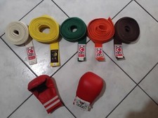 Cinture guanti karate kumite set completo bambino adolescente adulto