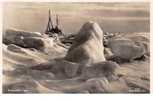 Norvegia 67492 - norvegia,