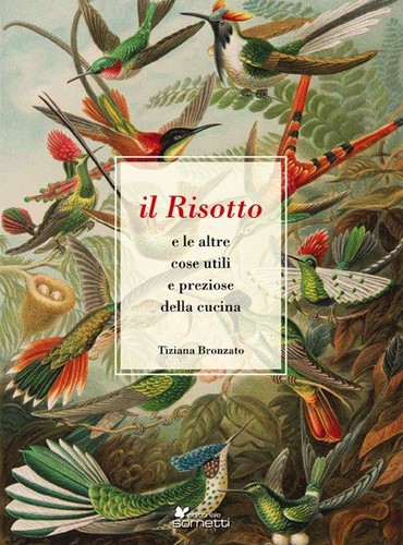 Libri bronzato tiziana il - bronzato,