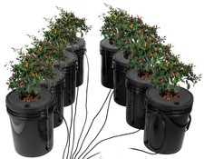 7 Secchi Neri Da 20 Litri Sistema di coltivazione idroponica coltura in acque