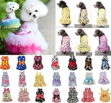 Vestiti Estivi Per Animali