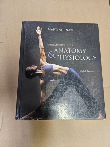 Fundamentals anatomy - fundamentals, &