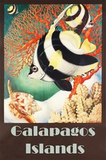 361870 Isole Galapagos