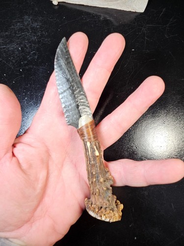 Splendido coltello mini - splendido,