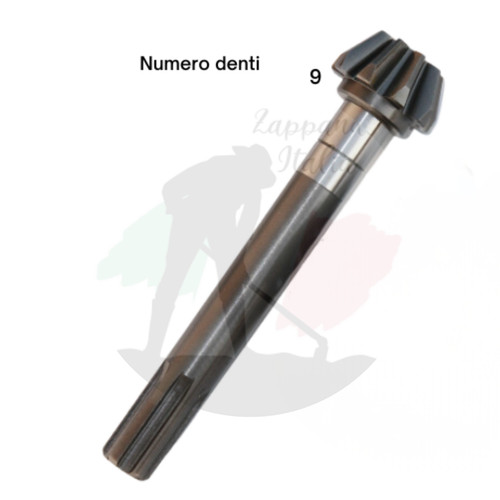 Valpadana pignone - valpadana,