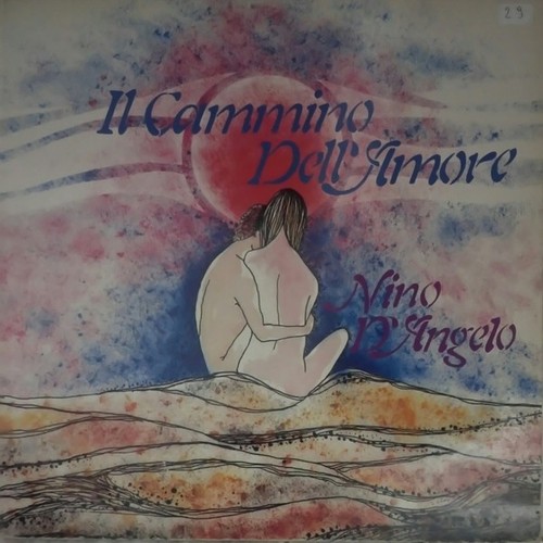Nino angelo il cammino - il,