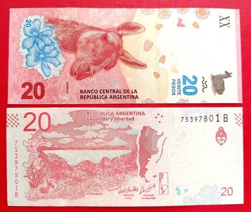 Argentina - 🇦🇷,