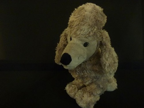 Doudou peluche chien - doudou,