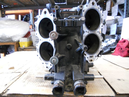 Cilindro evinrude etec - cilindro,