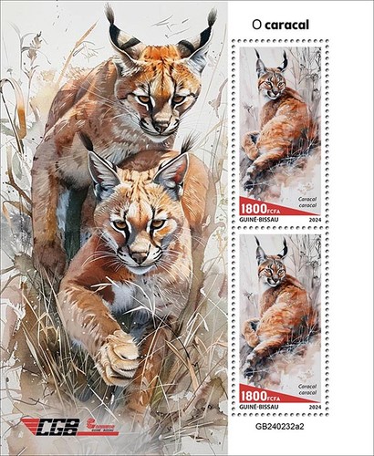 Caracal