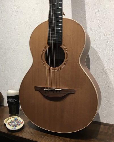 Chitarra acustica usata lowden - usata,