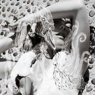 Bjork vespertine vinyl - vespertine, 5th