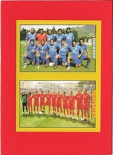 CALCIATORI 2007-2008 Panini