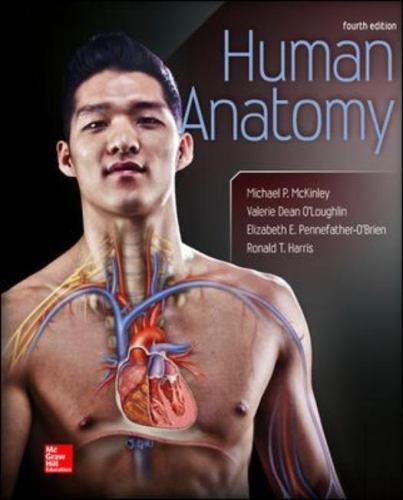 Human anatomy hardcover - -, by