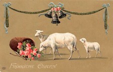Pecore con rose cartolina