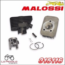 MALOSSI 315116 ELABORAZIONE
