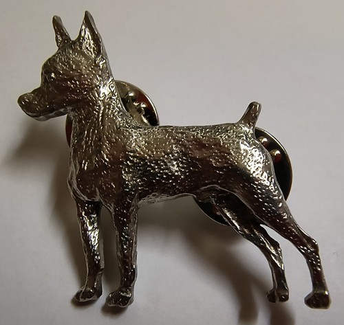 Miniatura pinscher min spilla - miniatura,